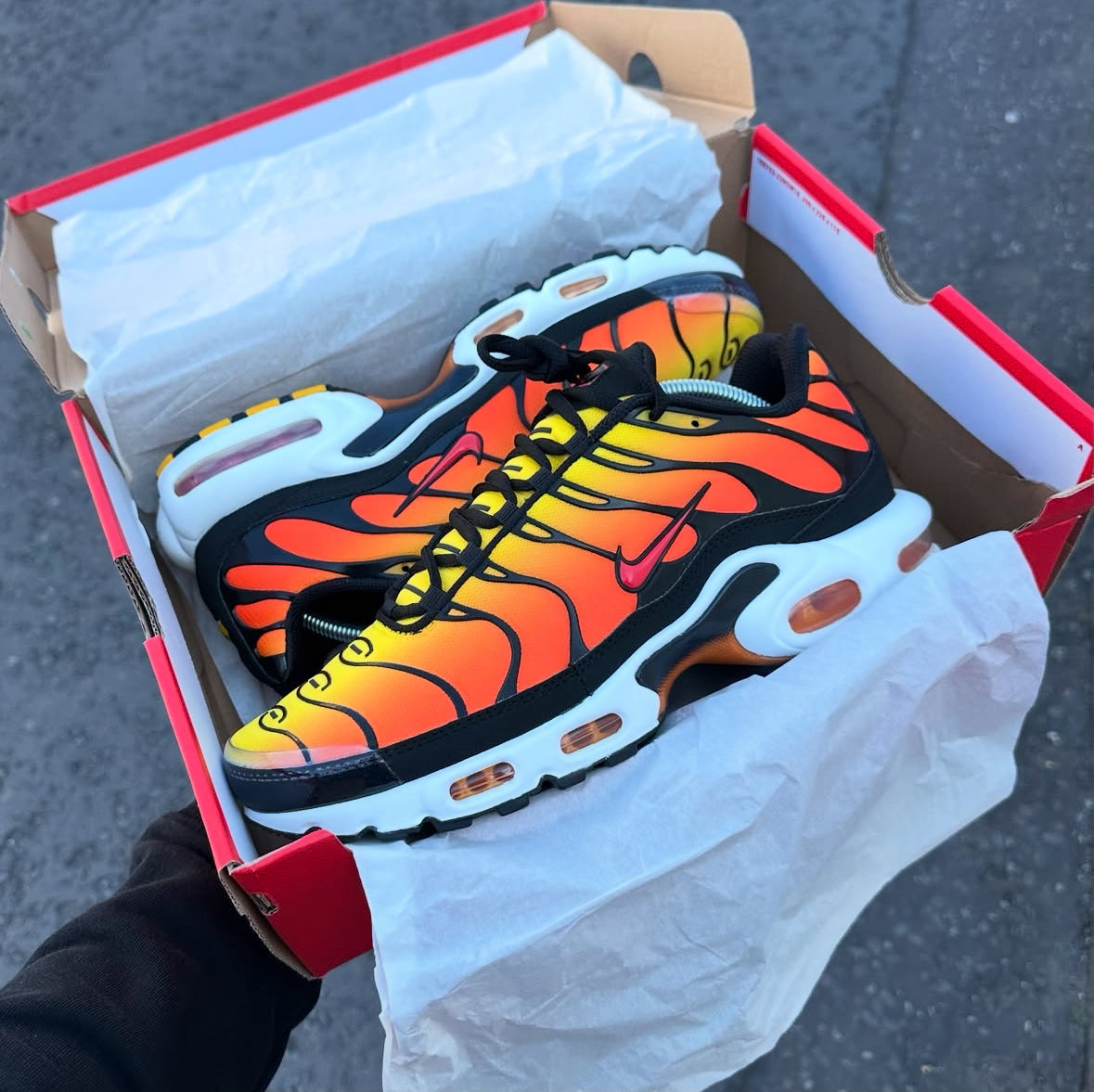 Nike Air Max Plus OG Sunset