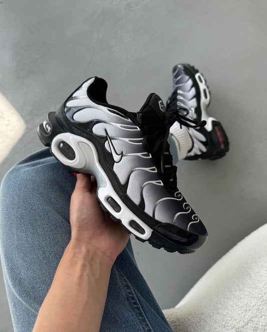 Nike tn grise et noir
